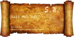 Sall Máté névjegykártya