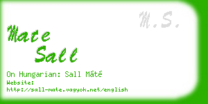 mate sall business card